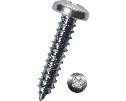 Vis à tôle à tête bombée avec empreinte cruciforme DIN 7981 6,3x80 mm galvanisée, 250 pièces