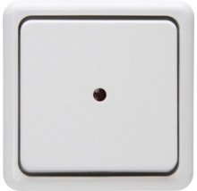 Interrupteur simple avec voyant lumineux