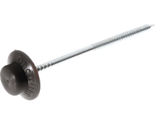 Einzelfoto einer Dachdeckerschraube