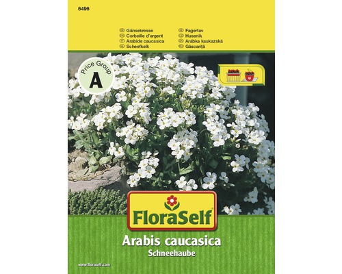 Arabette du Caucase 'Corbeille d'argent' FloraSelf semences non-hybrides graines de fleurs