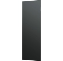 Chauffage en verre infrarouge Vitalheizung HVH500GS 40x120 cm noir 500 Watts