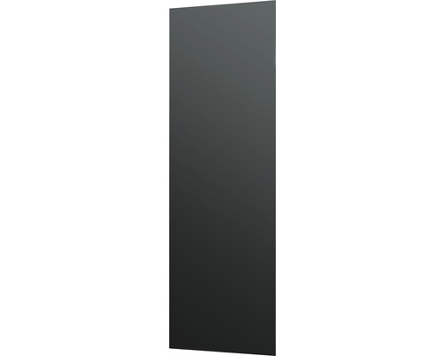 Chauffage en verre infrarouge Vitalheizung HVH500GS 40x120 cm noir 500 Watts Porte de salle de bain foncée