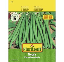 FloraSelf Negro Buschbohne Samenpackung