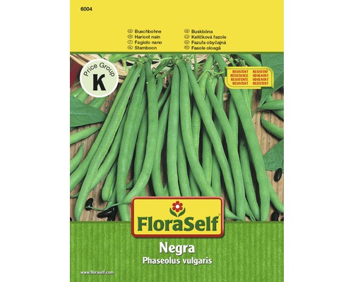 Haricot nain 'Negra' FloraSelf semences non-hybrides semences de légumes