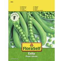 Petits pois 'Evita' FloraSelf semences non-hybrides semences de légumes-thumb-0