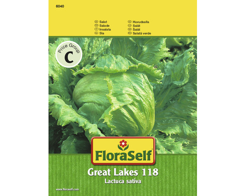 Laitue iceberg 'Great Lakes 118' FloraSelf semences non-hybrides semences de salade-0