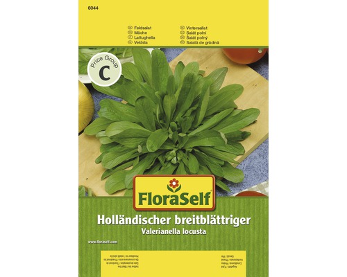 Mâche 'Hollandaise à larges feuilles' FloraSelf semences non-hybrides semences de salade-0