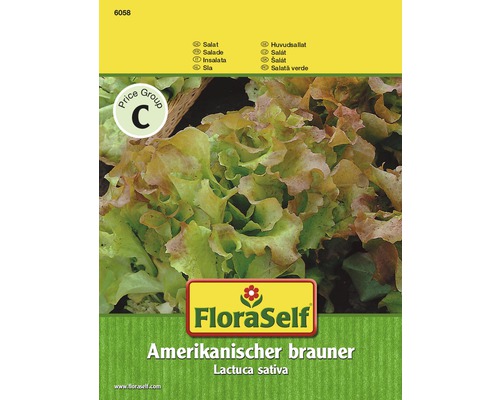 Salade 'Brune d'Amérique' FloraSelf semences non-hybrides semences de salade