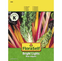FloraSelf Mangold Bright Lights Samenpackung