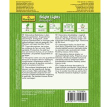 Bright Lights Beta vulgaris Sämerei Packung