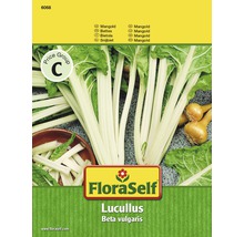 FloraSelf Bette Lucullus Sachet de graines
