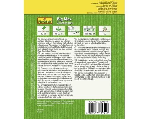 Samentüte FloraSelf Big Max Kürbis