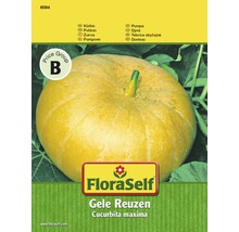 Samenpackung Gelber Zentner Kürbis