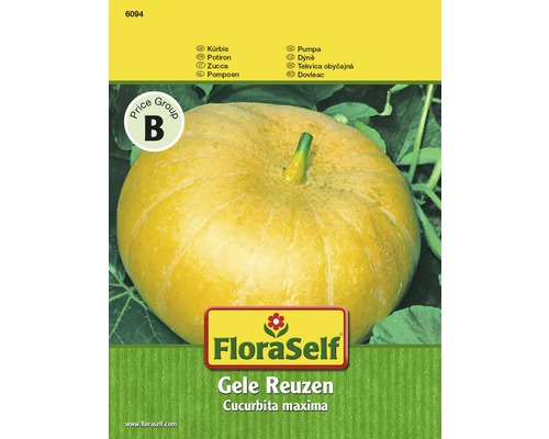 Potiron 'Gele Reuzen' FloraSelf semences non-hybrides semences de légumes