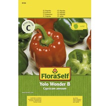 Poivron 'Yolo Wonder' FloraSelf semences non-hybrides semences de légumes-thumb-0