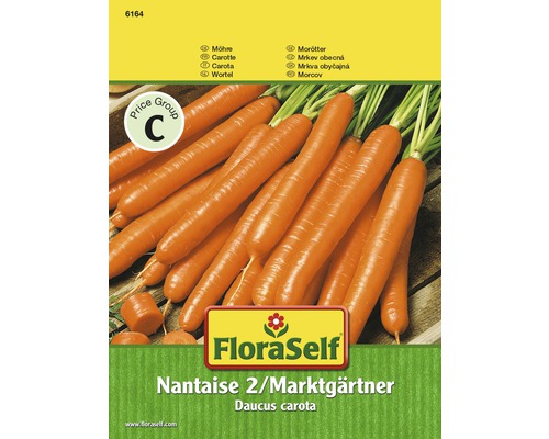 Carotte 'Nantaise 2 / Marktgärtner' FloraSelf semences non-hybrides semences de légumes