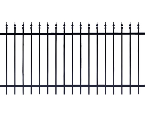 Panneau de clôture ALBERTS Chaussee 200 x 100 cm noir-0
