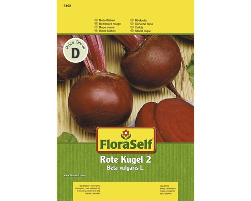 Rote Rbe 'Rote Kugel 2' FloraSelf samenfestes Saatgut Gemsesamen -  HORNBACH Luxemburg