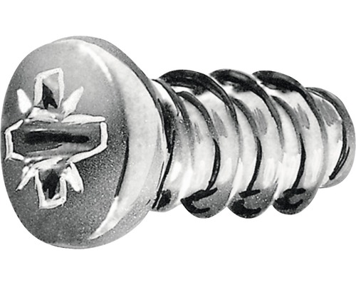 Holzschraube Pan-Head 6,3x13 mm galv.verzinkt 100 Stück Eine einzelne Schraube mit Kreuzschlitz