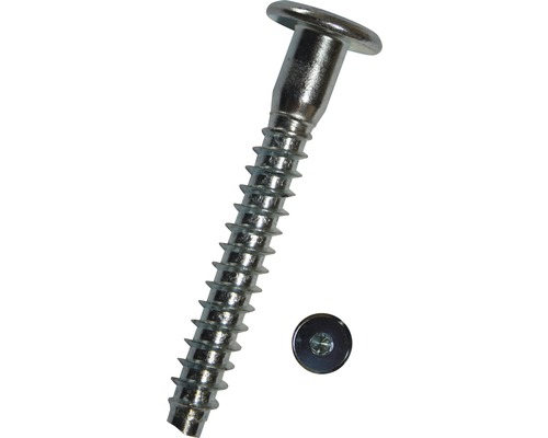 Vis à tête cylindrique à six pans creux 7x50 mm galvanisée, 100 pièces Vis à tête lentille en métal
