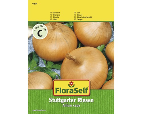 Zwiebel 'Stuttgarter Riesen' FloraSelf samenfestes Saatgut Gemsesamen -  HORNBACH Luxemburg