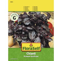Basilic 'Chianti' FloraSelf semences non-hybrides semences de fines herbes-thumb-0