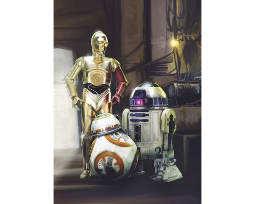 Papier peint panoramique SD447 Star Wars Three Droids 4 pces 184 x 254 cm