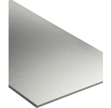 Plaque réfléchissante pour radiateur Noma Reflex panneau isolant pour  isolation des murs par l'intérieur autocollant 50 x 50 cm Contenu: 6 pièces  - HORNBACH