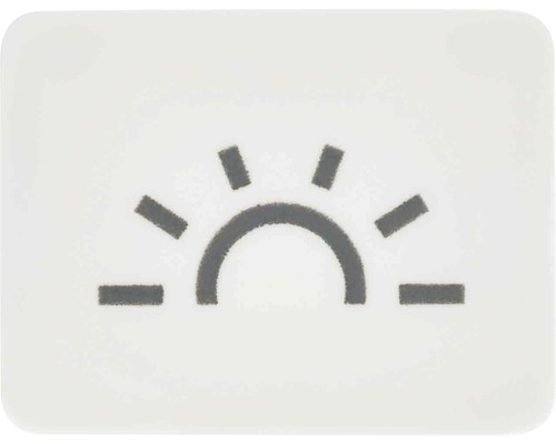 Symbole poussoir lumière calotte avec symbole opaque blanc alpin Jung 33 L WW WG800/WG600-0