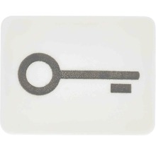 Symbole poussoir clé blanc alpin Jung 33 T WW WG800/WG600-thumb-0