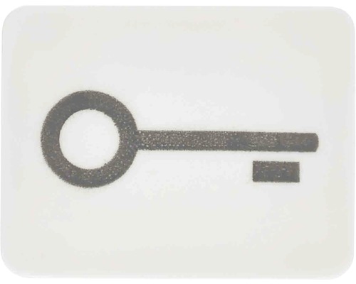 Symbole poussoir clé blanc alpin Jung 33 T WW WG800/WG600