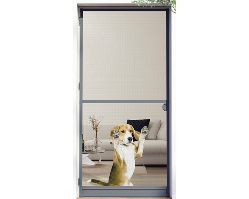 Moustiquaire de porte avec un chien devant