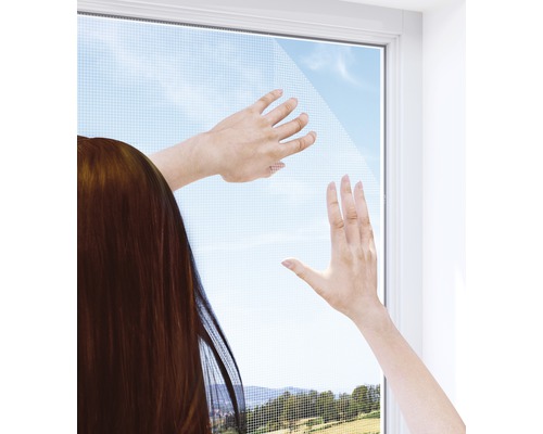 Moustiquaire Windhager Standard PLUS pour fenêtre sans perçage blanc 150x180 cm