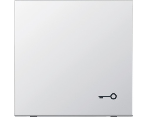 Bascule d'interrupteur avec symbole clé Jung AL 2990 T aluminium LS990