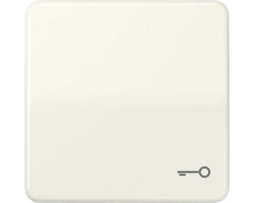 Bascule Jung CD 590 T avec symbole de clé blanc CD 500