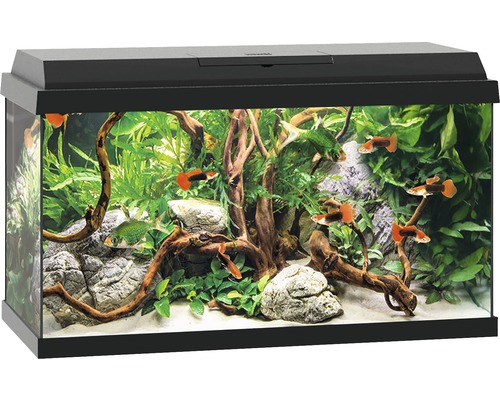 Aquarium JUWEL Primo 60 avec couvercle, éclairage LED, chauffage, filtre sans meuble bas noir