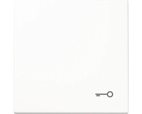 Bascule d'interrupteur avec symbole clé blanc alpin Jung LS 990 T WW LS990/LS-Design Insert d''interrupteur avec symbole de clé