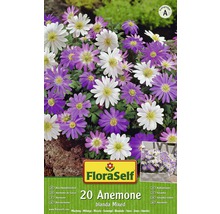 FloraSelf 20 Anemone blanda Mixed Emballage