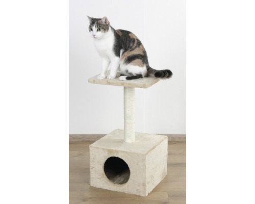 Katze auf einem Kratzbaum mit Liegefläche und Höhle