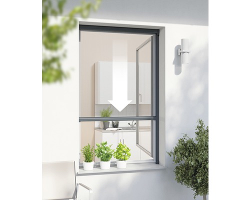 Insektenschutz-Rollo-Fenster PLUS anthrazit 160x160 cm