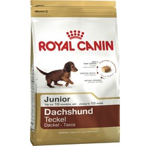 Royal Canin Junior Teckel nourriture pour chiens