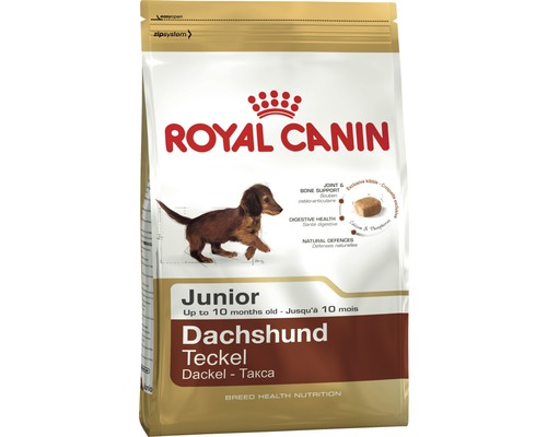 Royal Canin Junior Teckel nourriture pour chiens