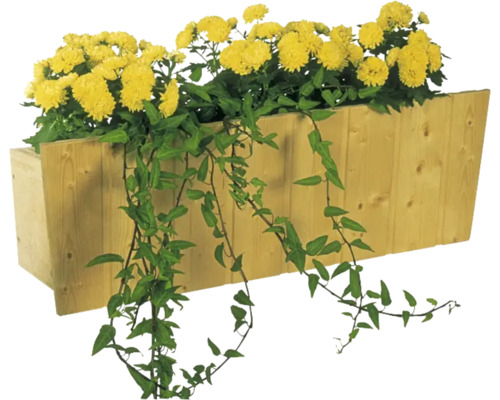 Blumenkasten SKAN HOLZ 60 x 21 x 25 cm, natur