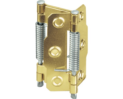 Paumelle de porte avec ressort pour utilisation sur les portes