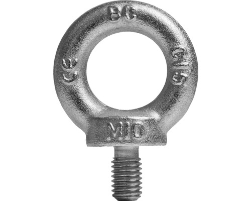 Vis à anneau (comme DIN 580) M16 galvanisée, 5 pièces