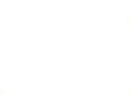 Weißer Hintergrund.