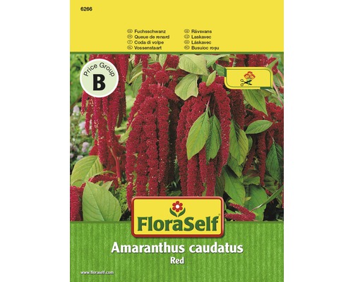 Fuchsschwanz 'Red' FloraSelf samenfestes Saatgut Blumensamen