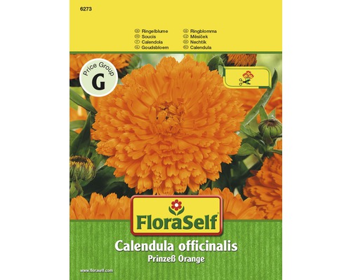 Souci 'Prinzeß Orange' FloraSelf semences non-hybrides graines de fleurs