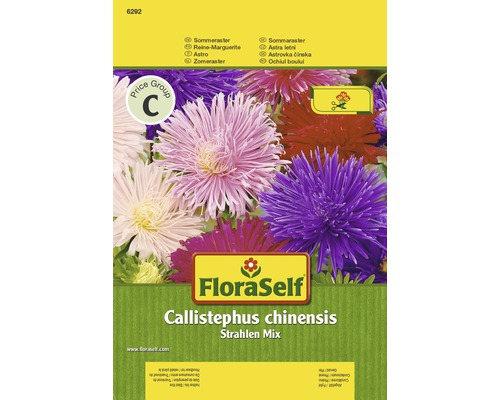 Aster de Chine 'Strahlen Mix' FloraSelf semences non-hybrides graines de fleurs FloraSelf Callistephus chinensis Strahlen Mix sachet de graines