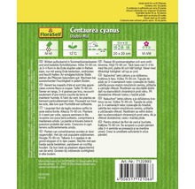 Saatgutpackung Kornblume Double Mix von FloraSelf